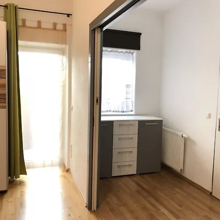 Apartsee Zell Am * ツェル アム ゼー